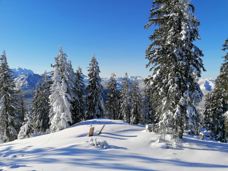 Schneeschuhwanderung